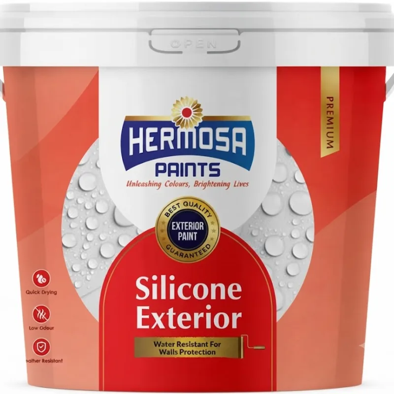 Silicone Exterior 20L - Hermosa